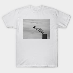 The Art Critic T-Shirt